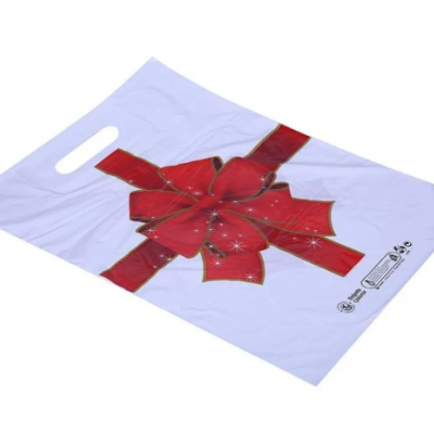 Takviyeli Renkli Poşet 26x38